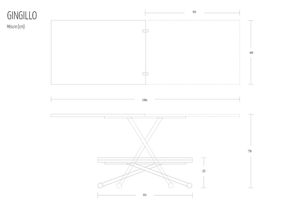 Gingillo AT020 by Altacom Italia