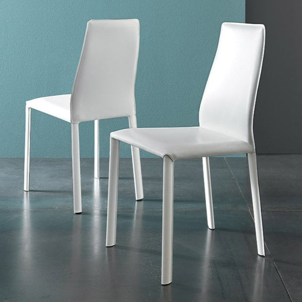 Hippo AS004 by Altacom Italia