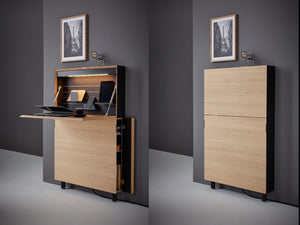 Mājas ofisa mēbeles | Home offices